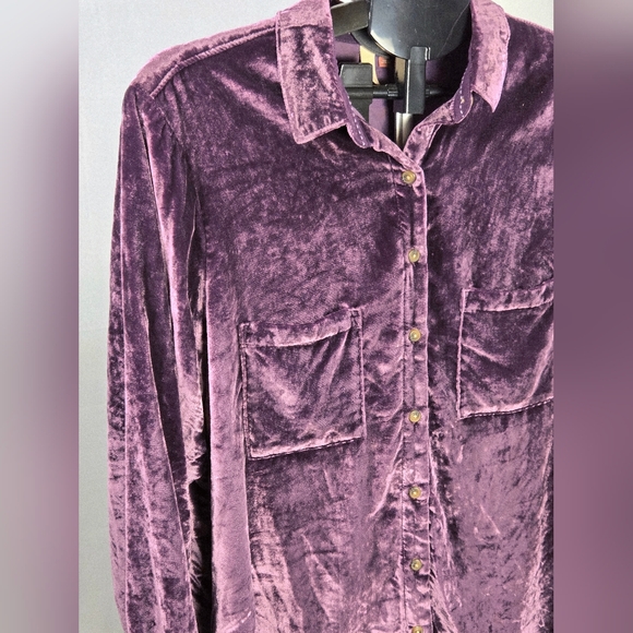 Anthrpologie Pilcro Velvet Relaxed Fit Whimsigoth Button Up, 1X - Picture 3 of 5